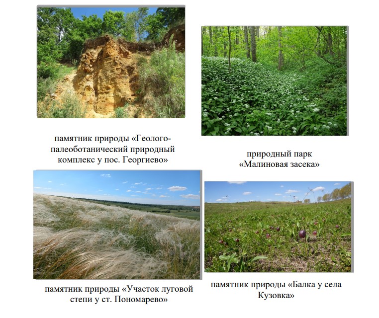 Министерство природных ресурсов и экологии Тульской области запустило опрос об уровне информирования населения Тульской области в части особо охраняемых природных территорий.