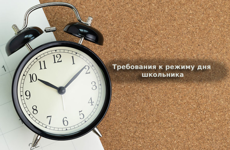 Требования к режиму дня школьника. Требования к режиму дня школьника.