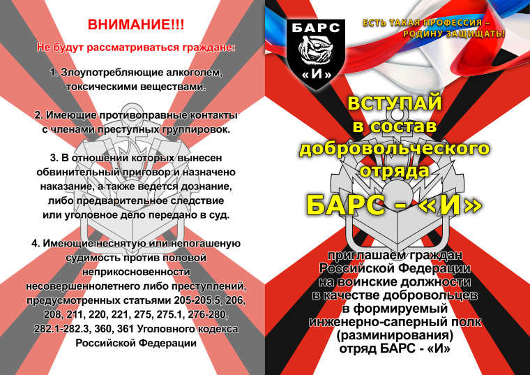 ДОБРОВОЛЬЧЕСКИЙ ОТРЯД «БАРС – И». ДОБРОВОЛЬЧЕСКИЙ ОТРЯД «БАРС – И».